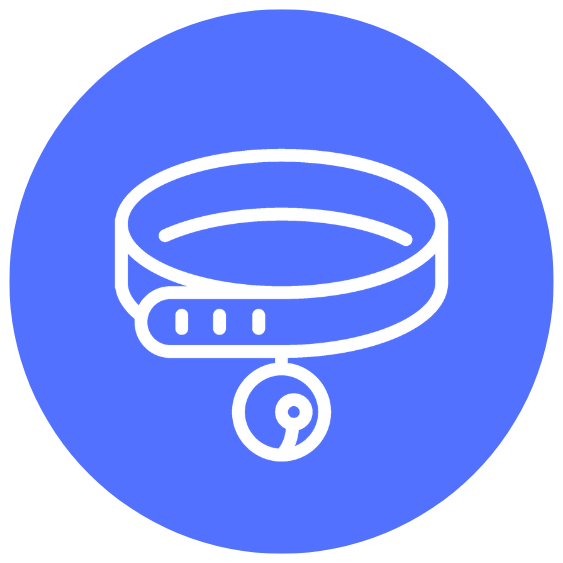 Correas, Collares y Arnes