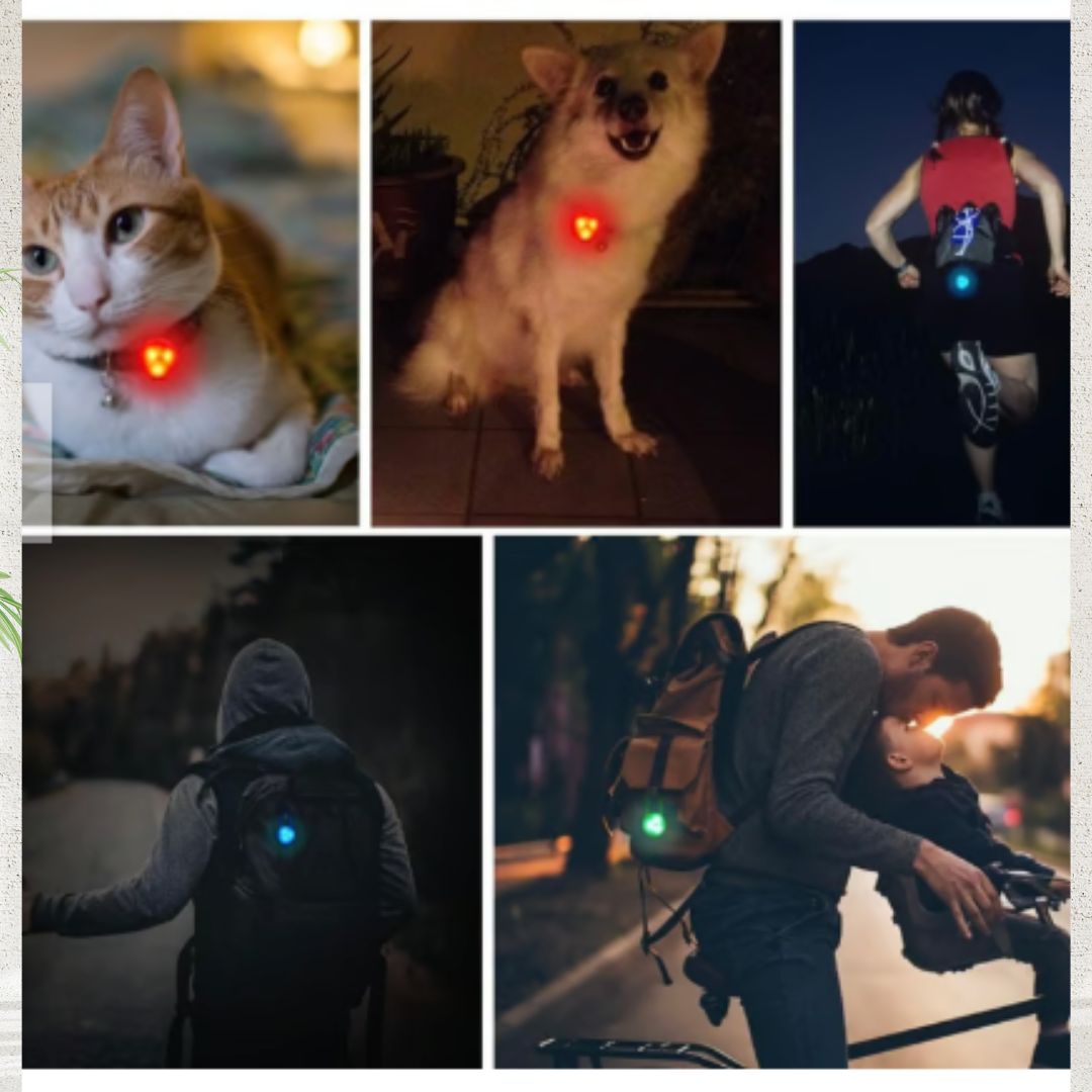 Luz Led Colgante Para Mascotas Anti Pérdida