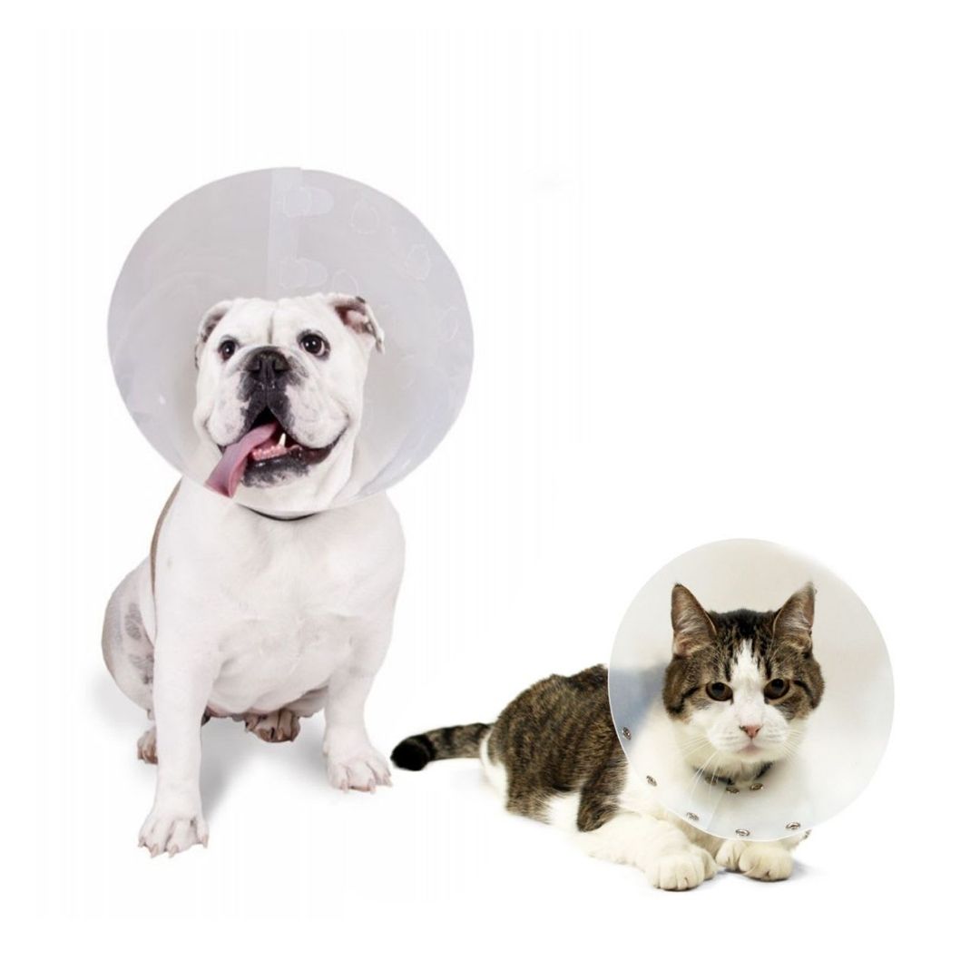 COLLAR ISABELINO SIMPLE TRANSPARENTE