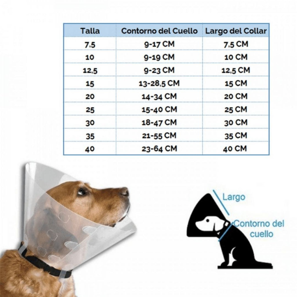 COLLAR ISABELINO SIMPLE TRANSPARENTE