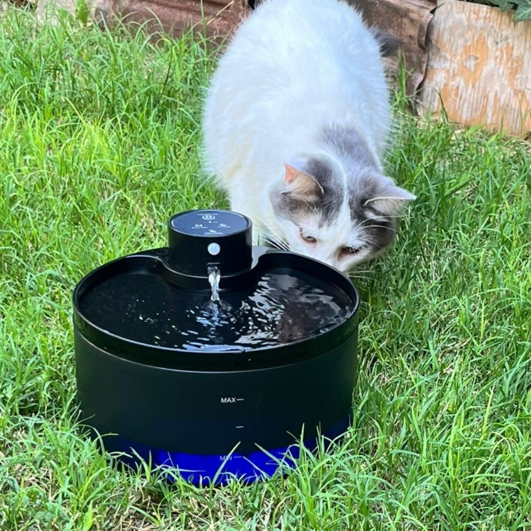 Bebedero inalámbrico con sensor para mascotas de 3.2Lts.