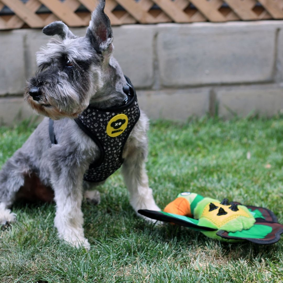 BRNX JUGUETE LORO TEXTIL REPELENTE AL AGUA