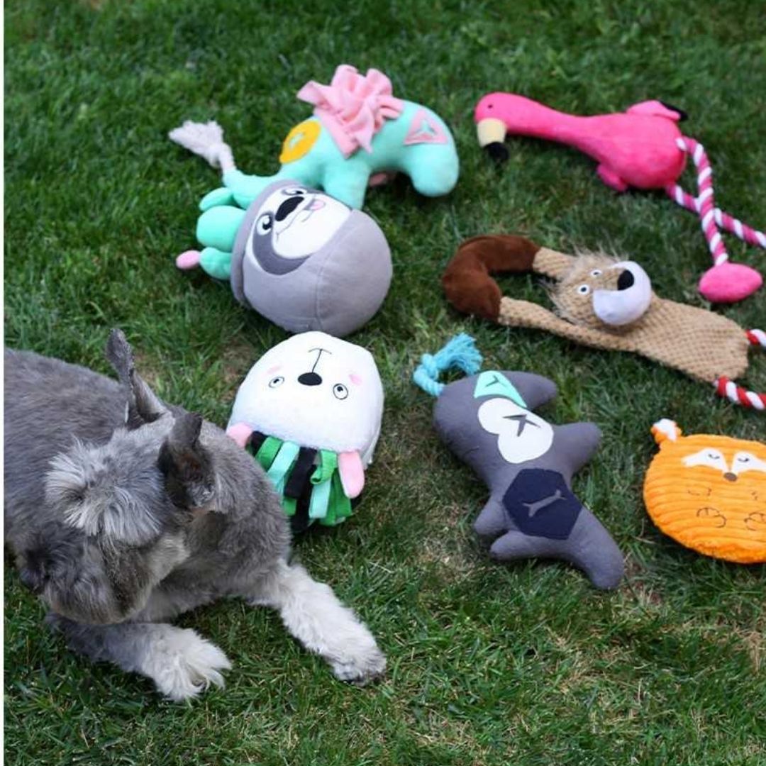 BRNX JUGUETE PLUSH CUERDA LEÓN XL