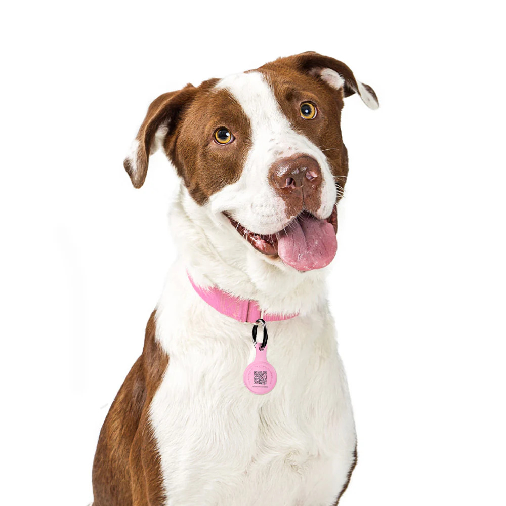 PET ID TAG SMART COLGANTE AZUL